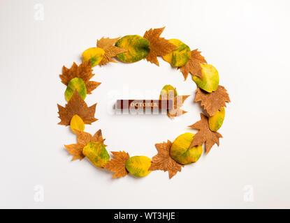 Herbst Komposition. Kranz aus Ahorn Blätter auf weißem Hintergrund. Herbst, Herbst, Thanksgiving Day Konzept. Flach, Ansicht von oben, kopieren Raum Stockfoto