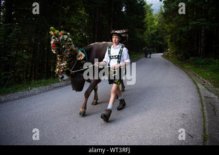 Bad Hindelang, Deutschland. 11 Sep, 2019. Ein Junge nimmt eine dekorierte Kuh hinunter ins Tal. An das Vieh Schutz in Bad Hindelang, etwa 700 Kühe sind wieder ins Tal getrieben von fünf Alpen. Credit: Lino Mirgeler/dpa/Alamy leben Nachrichten Stockfoto