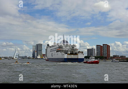 Rotterdam, Niederlande - 2019.09.08: Rotterdam hull feryy Pride of Hull (imo Nr. 9208629) anfahren wilhelminakade während des zweiten Hafen Tage festi Stockfoto