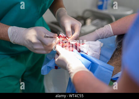 Tierarzt Arzt und weibliche assistant Ausführen einer Operation auf ein Tier an der Klinik Stockfoto