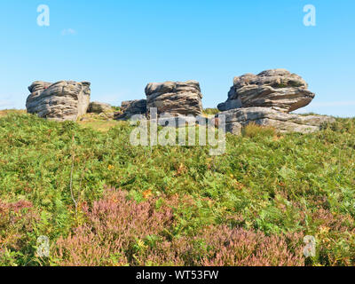 Drei Schiffe, eine verschlissene und verwitterten gritstone Bergspitze auf birchen Edge in The Derbyshire Peak District. Stockfoto