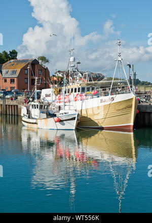 Küstenfischerei Boote in Padstow Hafen. Cornwall, England, Großbritannien Stockfoto