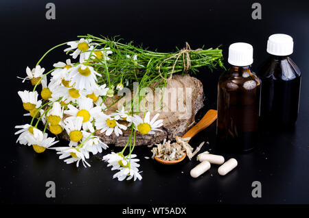 Pflanzliche Kapseln und Tinkturen aus Heilpflanzen. Studio Foto Stockfoto