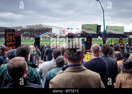 Menschenmassen versammeln sich am weltberühmten Cheltenham Festival. Der britische Premier National Hunt Rennen treffen und ein Mekka für eine Armee von Reisen Irish fans Stockfoto