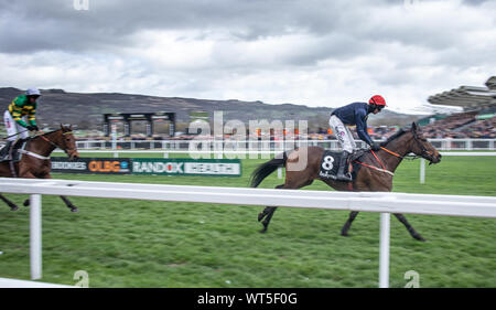 Pferde Rennen die Ziellinie beim Cheltenham Festival. Der britische Premier National Hunt Rennen treffen und ein Mekka für eine Armee von Reisen Irish fans Stockfoto