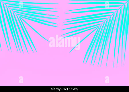 Tropischen Blatt auf hellen Hintergrund, minimalistisches Konzept, flach. Stockfoto