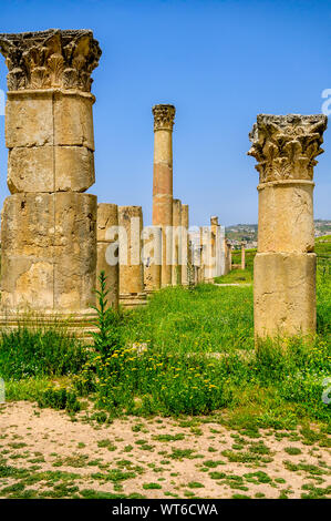 Spalten in den Ruinen der antiken römischen und griechischen Stadt Jerash Stockfoto