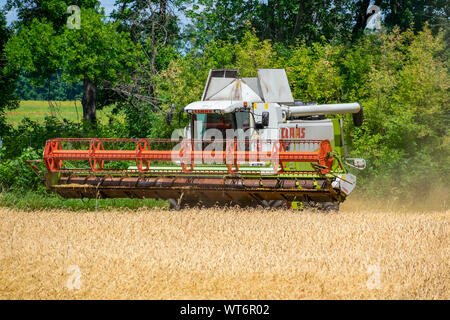 Region Kiew, Ukraine - Juli 6, 2019: Claas Lexion 480 Mähdrescher bei der Arbeit auf dem Weizenfeld kombinieren Stockfoto