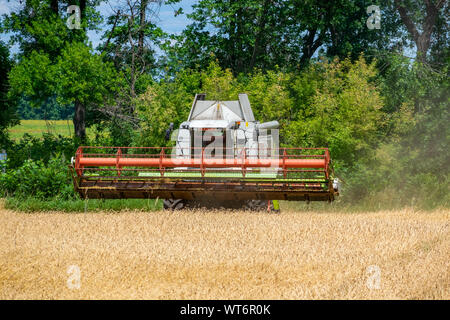 Region Kiew, Ukraine - Juli 6, 2019: Claas Lexion 480 Mähdrescher bei der Arbeit auf dem Weizenfeld kombinieren Stockfoto