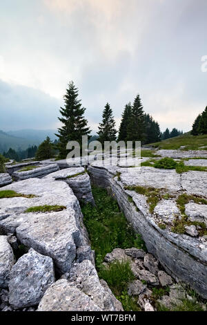 Rocky konformationen als "Stadt des Rock'am Mount Fior. Foza Melette di, Hochebene von Asiago, der Provinz Vicenza, Venetien, Italien, Europa. Stockfoto