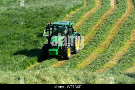Mähen von Gras in einer Wiese mit einem John Deere 6130 Traktor und ein John Deere 1355 Mähaufbereiter. Pateley Bridge, North Yorkshire, UK. Stockfoto