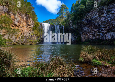 Dangar fällt eine Kaskade Wasserfall an der Bielsdown Fluss im Dorrigo Dorrigo National Park, in der Nähe von Coffs Harbour, New South Wales, Australien Stockfoto