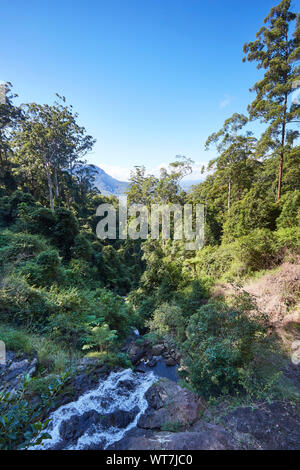 Ein kleiner Fluss, der durch einen Wald voller Laub bedeckt Bäume auf einem sonnigen, wolkenlosen Herbst Tag in New South Wales, Australien Stockfoto