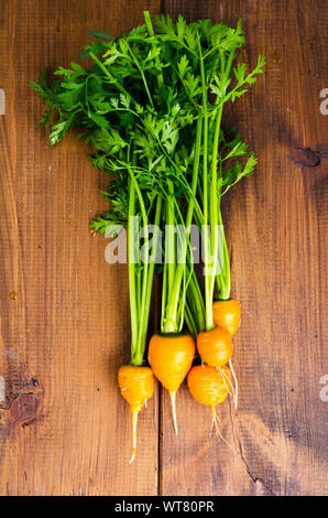 Paar kleine, runde Möhren (Pariser Erbstück Karotten) auf Holz- Hintergrund. Studio Foto Stockfoto