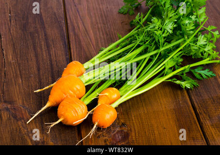 Paar kleine, runde Möhren (Pariser Erbstück Karotten) auf Holz- Hintergrund. Studio Foto Stockfoto