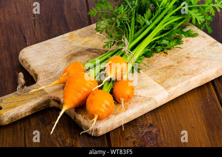 Paar kleine, runde Möhren (Pariser Erbstück Karotten) auf Holz- Hintergrund. Studio Foto Stockfoto