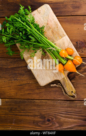 Paar kleine, runde Möhren (Pariser Erbstück Karotten) auf Holz- Hintergrund. Studio Foto Stockfoto