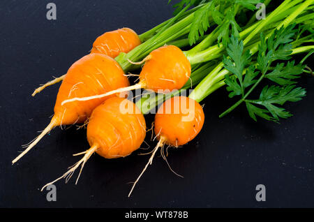 Biobauern frische Karotten auf schwarzem Hintergrund. Studio Foto Stockfoto