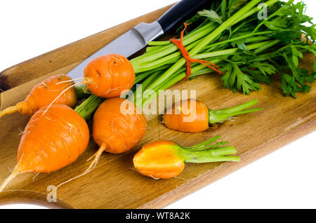 Paar kleine, runde Möhren (Pariser Erbstück Karotten) auf Holz- Hintergrund. Studio Foto Stockfoto