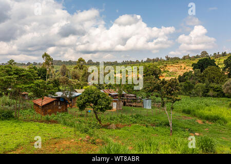 Farbe Landschaft Foto von sparse behelfsmäßigen Wohnungen inmitten üppiger Vegetation und Kulturpflanzen, im Dorf Kangaita, Meru, Kenia. Stockfoto