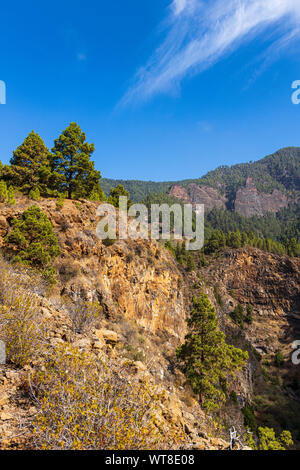 Wanderwege und Pfade durch Barrancos und Kiefernwald in der Araya Gegend von Teneriffa, Kanarische Inseln, Spanien Stockfoto