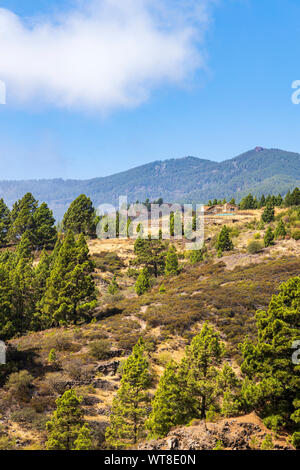 Wanderwege und Pfade durch Barrancos und Kiefernwald in der Araya Gegend von Teneriffa, Kanarische Inseln, Spanien Stockfoto