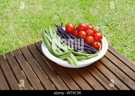 Frisch geerntete Calypso Bohnen, Bohnen und Tomaten in einer Schüssel auf einem hölzernen Picknicktisch in einem Garten Stockfoto