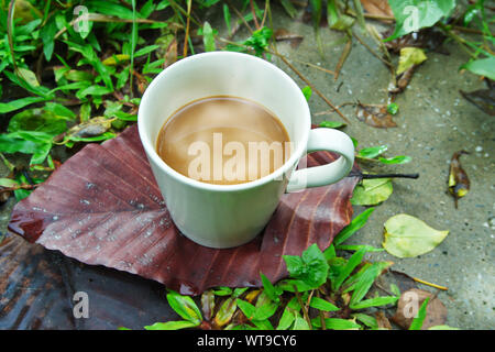 Eine Tasse Kaffee auf den Beton im Garten. Stockfoto