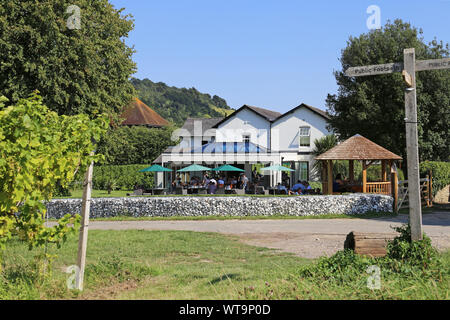 Weingut Hotel, Denbies Wine Estate, Dorking, Surrey Hills, North Downs, England, Großbritannien, USA, UK, Europa Stockfoto