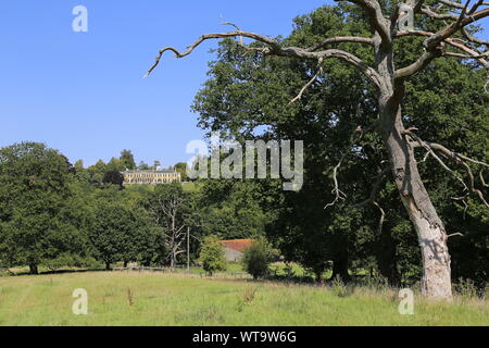 Polesden Lacey (PRW), Great Bookham, Dorking, Surrey Hills, North Downs, England, Großbritannien, USA, UK, Europa Stockfoto