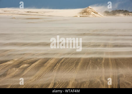 Sandsturm in Nationalpark von Lagoa do Peixe Stockfoto