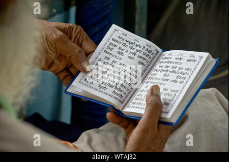 Alte Sikh Mann in religiösen Buch im Zug liest Stockfoto