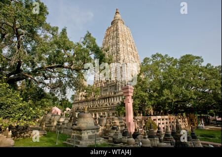 Mahabodhi Tempel, der Ort, wo Buddha die Erleuchtung erreicht Stockfoto