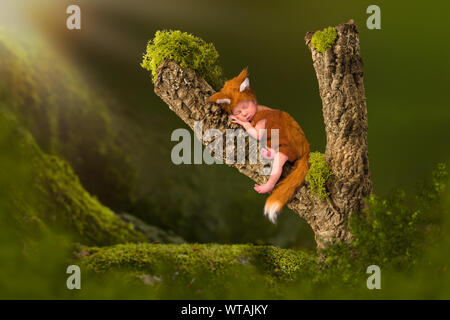 Baby in Fox Outfit auf einem Bemoosten Ast Stockfoto