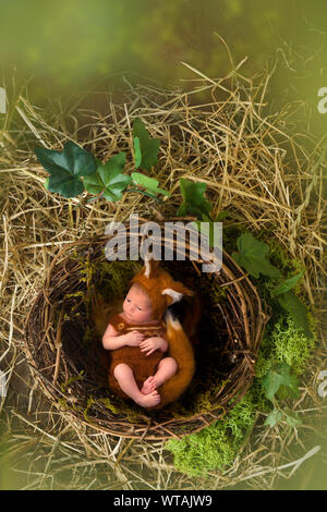 Neugeborenes im Fox outfit Schlafen in ein Vogelnest Stockfoto