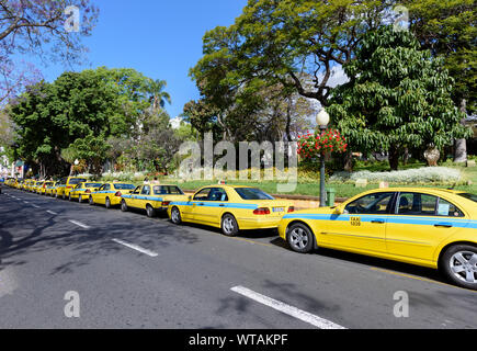 Eine lange Linie der gelben Taxis Stockfoto