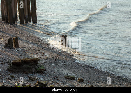 Wave Line auf der Themse in London bei Ebbe, wenn Kies, Steine und alten hölzernen Strukturen sichtbar sind, an einem sonnigen Abend im Sommer. Stockfoto