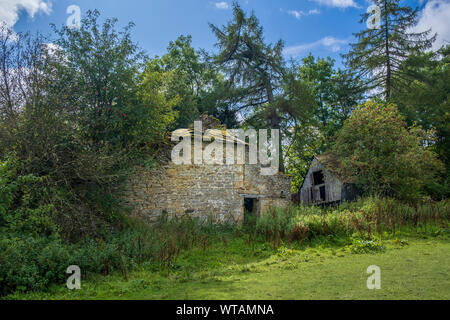 Ruinen von einem Haus in der englischen Landschaft zurück zur Natur - verlassene und verfallene Ruine für das Bauernhaus und die Scheune von Vegetation und Bäumen überwuchert Stockfoto