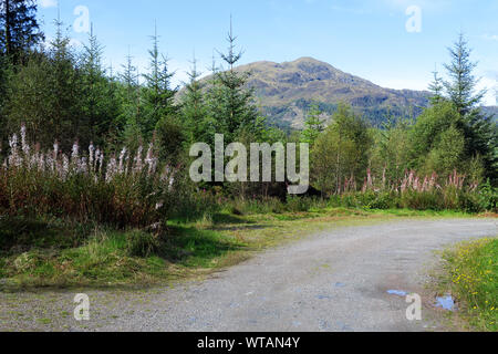 Ben Schauplatz, ein "Graham" in Loch Lomond und Trossachs National Park von der Herzöge Pass in der Nähe der Perthshire Stadt Aberfoyle gesehen Stockfoto