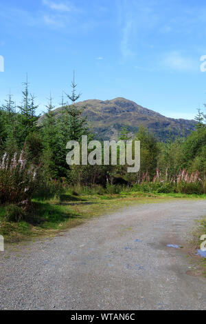 Ben Schauplatz, ein "Graham" in Loch Lomond und Trossachs National Park von der Herzöge Pass in der Nähe der Perthshire Stadt Aberfoyle gesehen Stockfoto