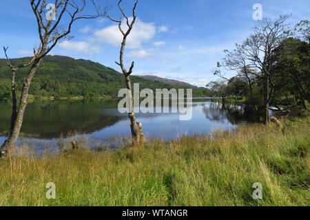 Loch Achray im Loch Lomond und Trossachs National Park in der Nähe der Perthshire Stadt Aberfoyle Stockfoto