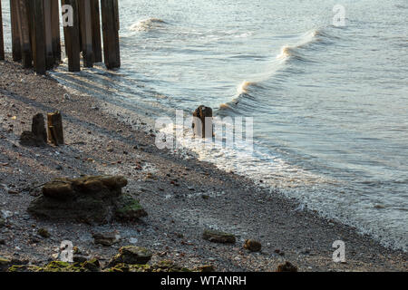 Wave Line auf der Themse in London bei Ebbe, wenn Kies, Steine und alten hölzernen Strukturen sichtbar sind, an einem sonnigen Abend im Sommer. Stockfoto