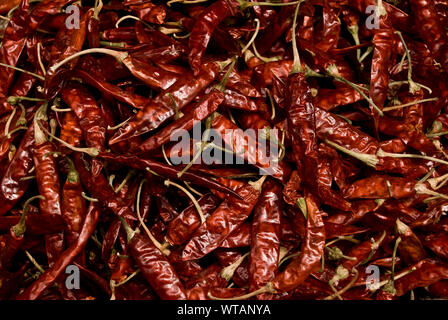 Trockene rote Chili peppers Stockfoto