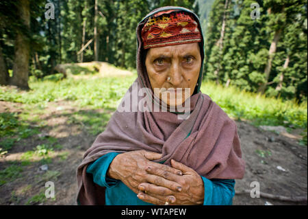 Alte Dame von Gujjar Ethnizität in den Wald von Aru Tal Stockfoto