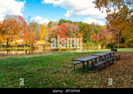 Wicnic Tabellen und BBQ auf einer Wiese am Fluss in den gefallenen Blätter an einem sonnigen Herbsttag abgedeckt. Bunte Bäume säumen den Fluss. Stockfoto