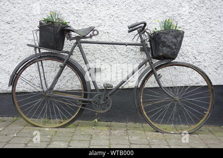 Altes Fahrrad eine einer Hauswand zu einem Blumenbeet um funktioniert * Altes Fahrrad auf einem Haus Wand an ein Blumenbeet auf Rädern umgewandelt Stockfoto