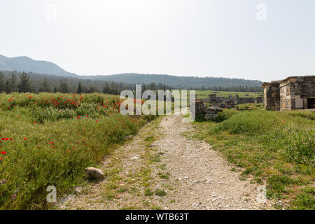 Dirt Road, die durch die Gräber in der Nekropole in Baumwolle schloss im Frühjahr - Pamukkale - hierapolis - Türkei Stockfoto