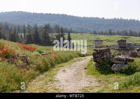 Dirt Road, die durch die Gräber in der Nekropole in Baumwolle schloss im Frühjahr - Pamukkale - hierapolis - Türkei Stockfoto