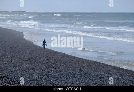 Person, Hund am Strand, sheringham, North Norfolk, England Stockfoto