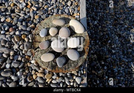 Kiesel auf verwitterte Holz groyne Post, sheringham, North Norfolk, England Stockfoto